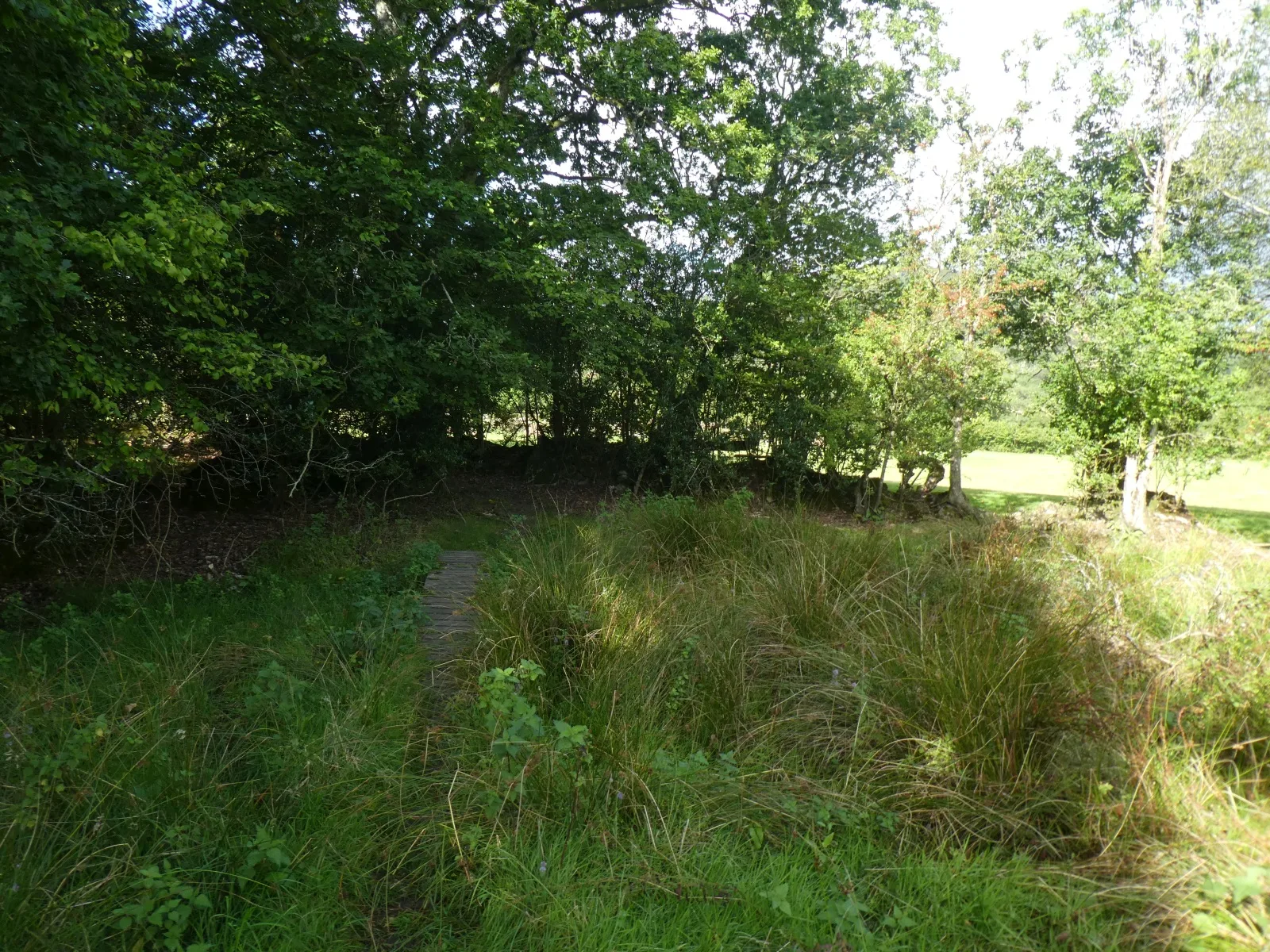 Lustleigh Show Field