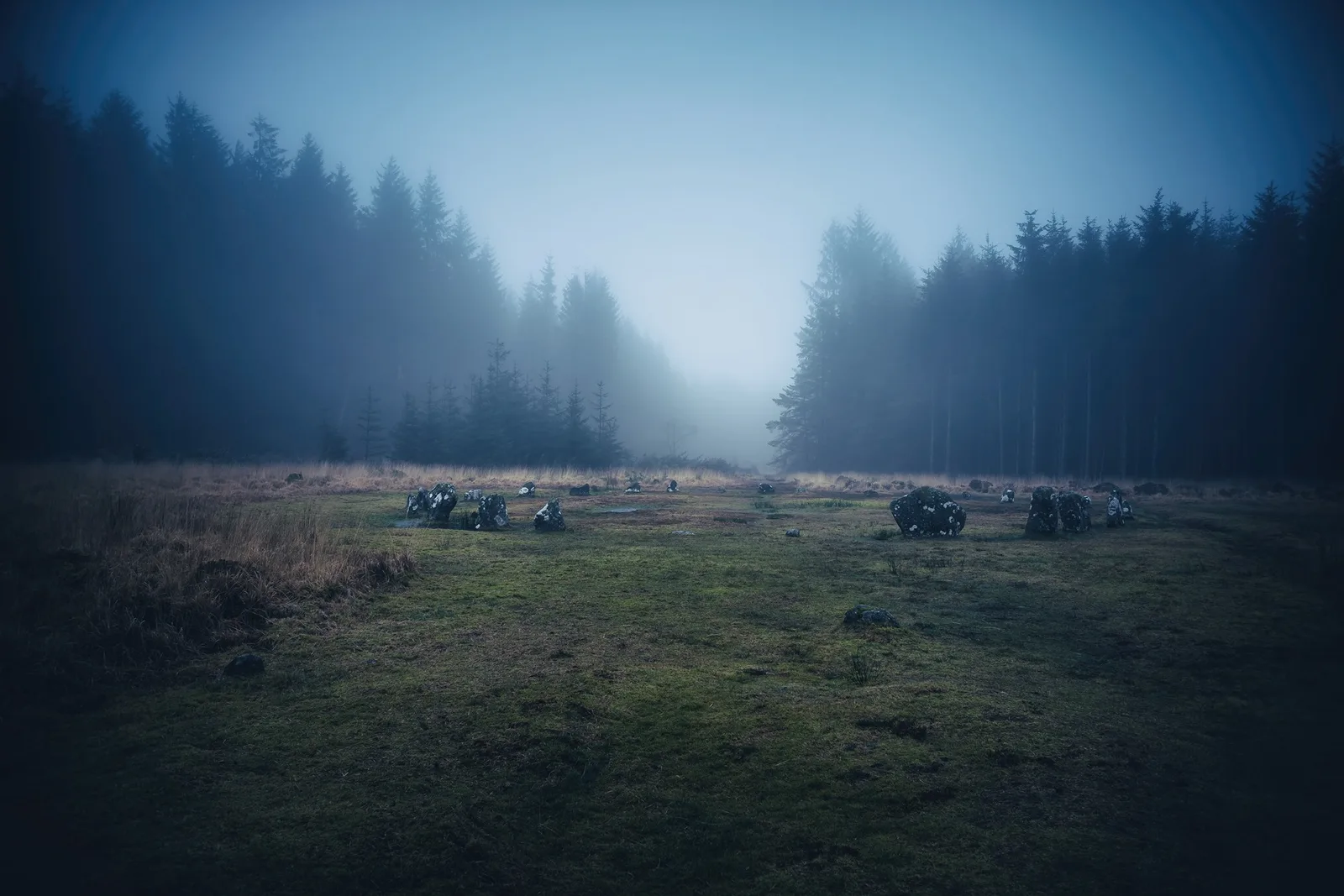Fernworthy Stone Circle