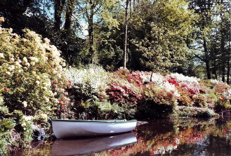 Lukesland Gardens