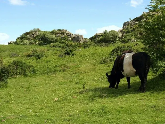 Hound Tor Deserted Medieval Village