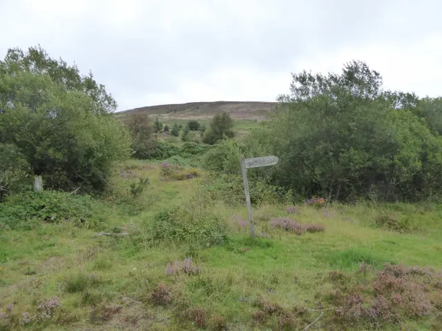 Ruined buildings (Roses Cottage)