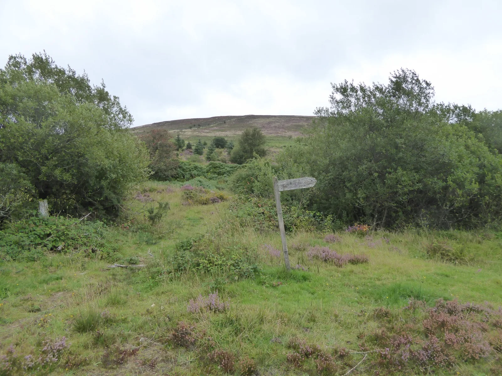Ruined buildings (Roses Cottage)