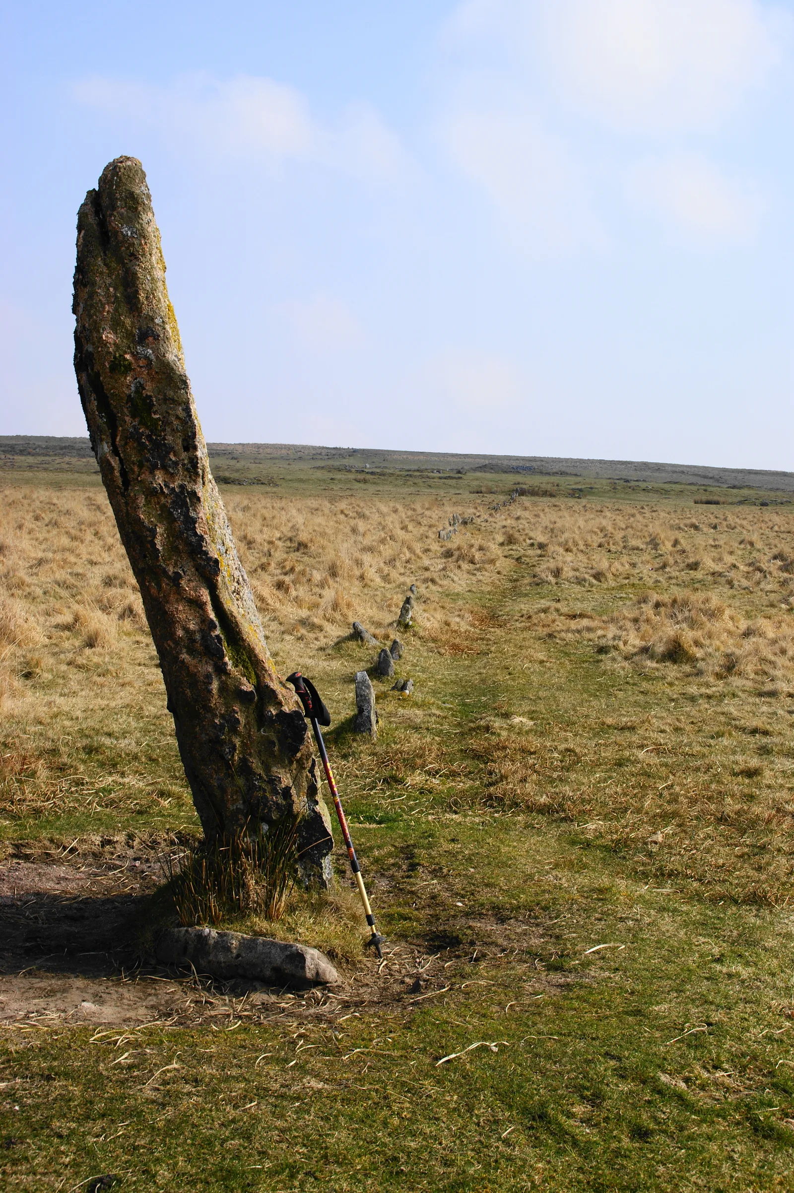 Drizzlecombe North Row
