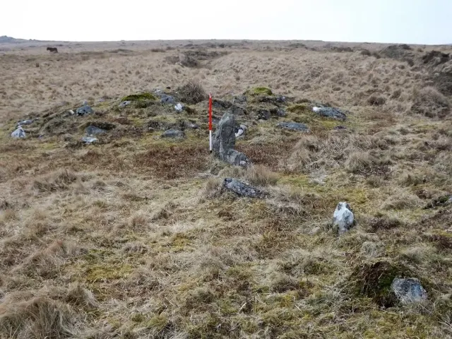 Hart Tor North stone rows