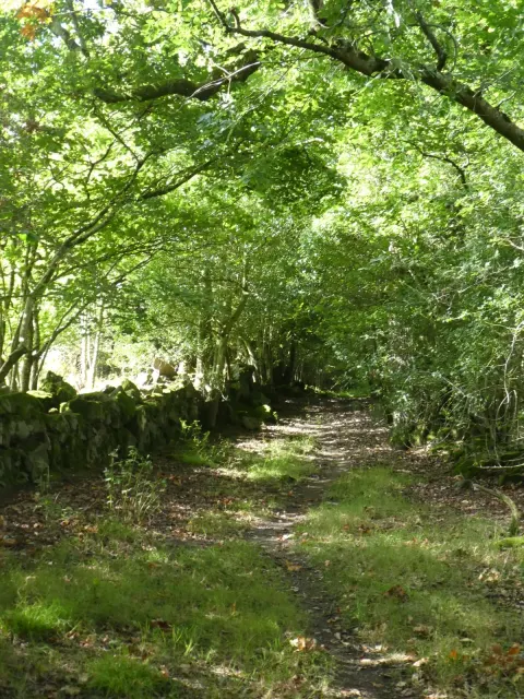 Lustleigh Show Field