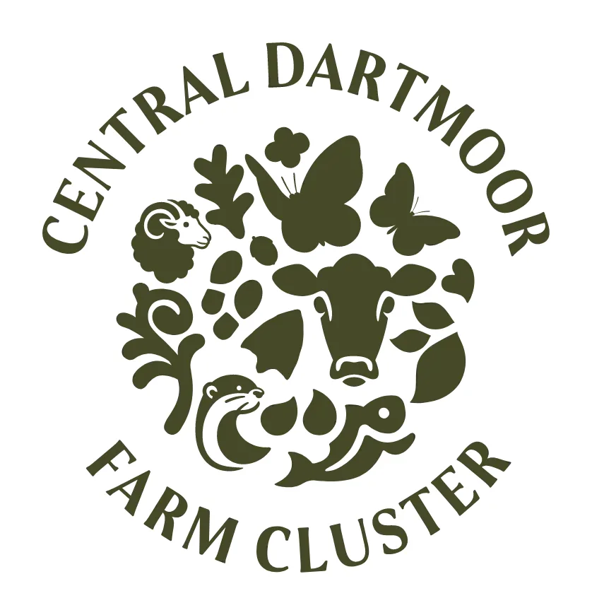 Central Dartmoor Farm Cluster