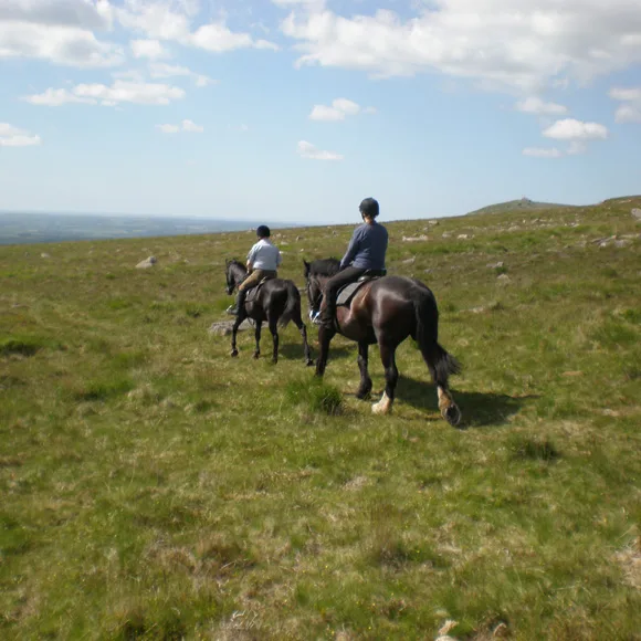 Cholwell Riding Stables