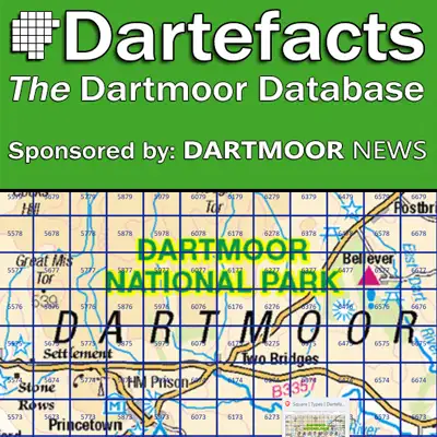 Dartefacts