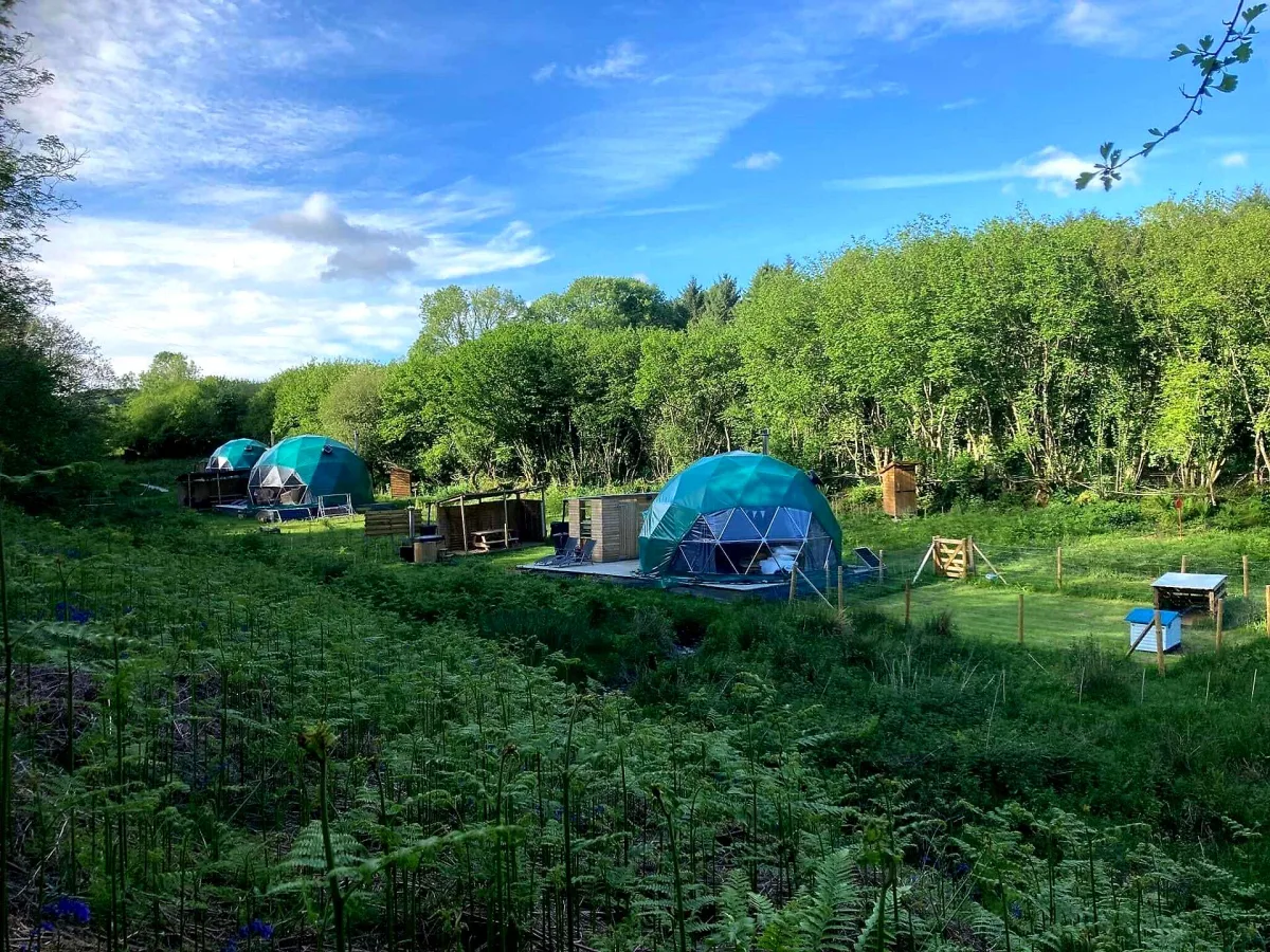 Dartmoor Domes