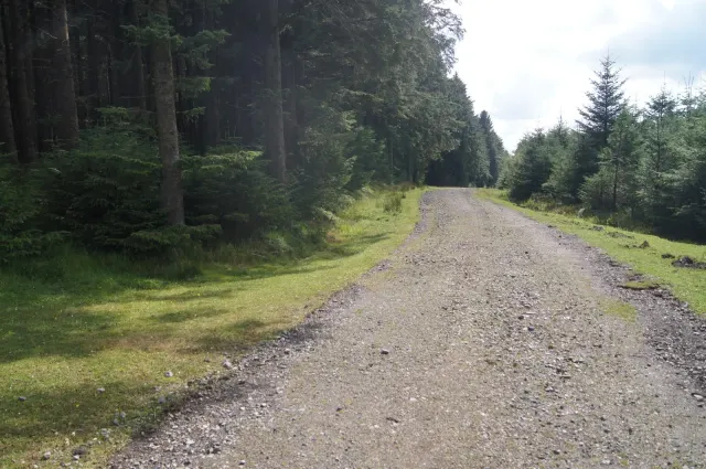 Forestry England