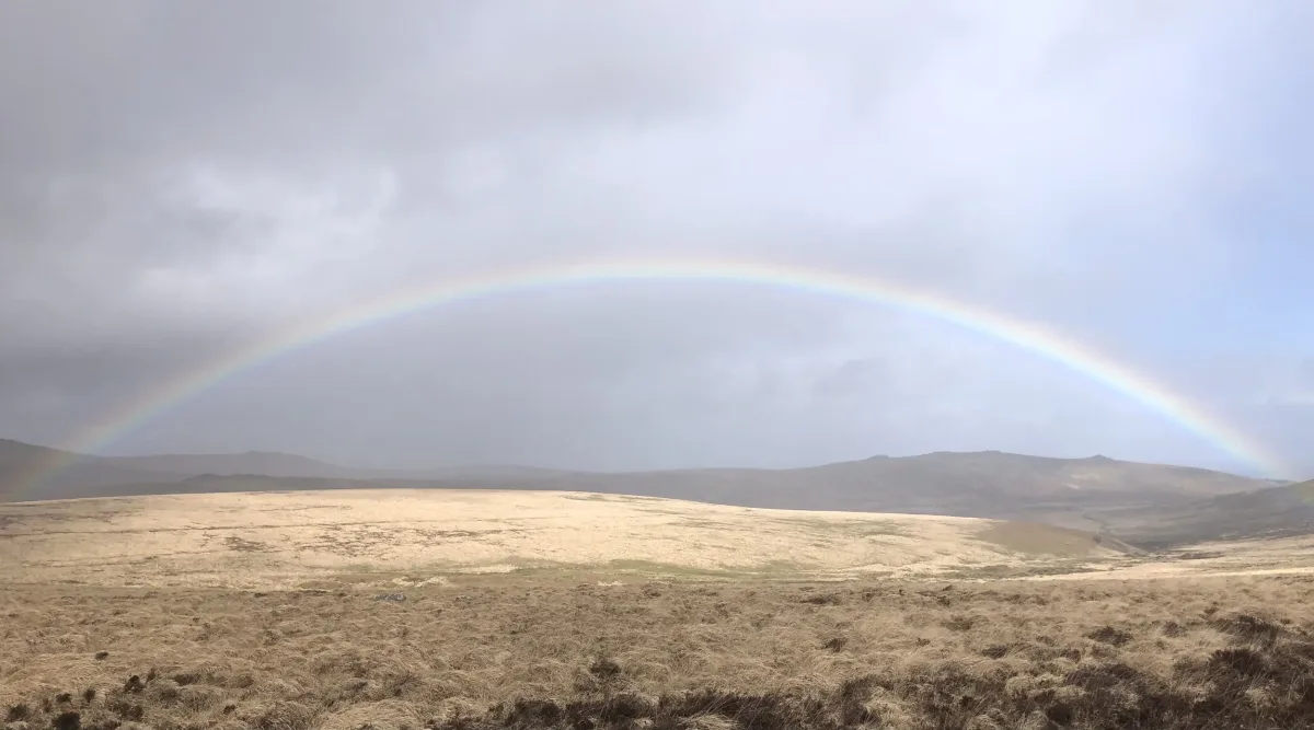 Dartmoor Therapy