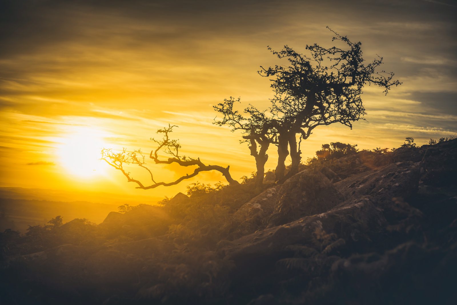 Glavind Strachan Photography
