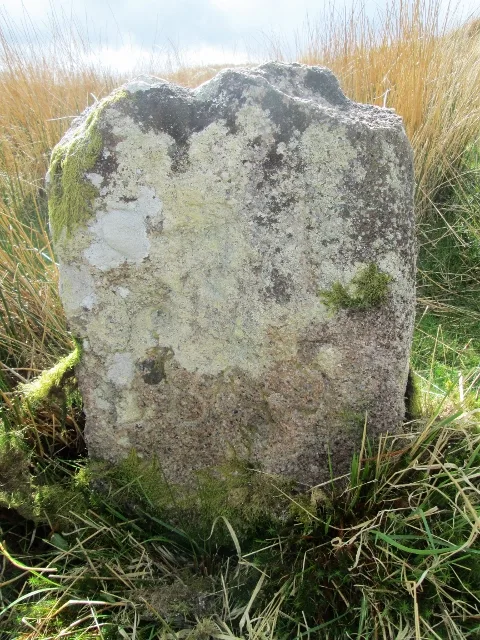 Two pillow mounds near Blackaton Cross