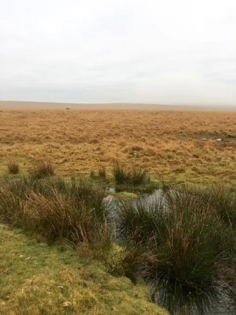 Cairn near Ringmoor Cottage