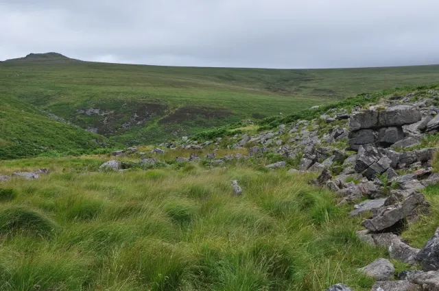 Watern Oke: eight hut circles and a shieling