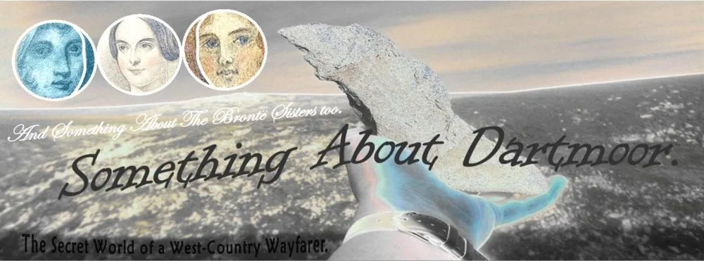 Something About Dartmoor
