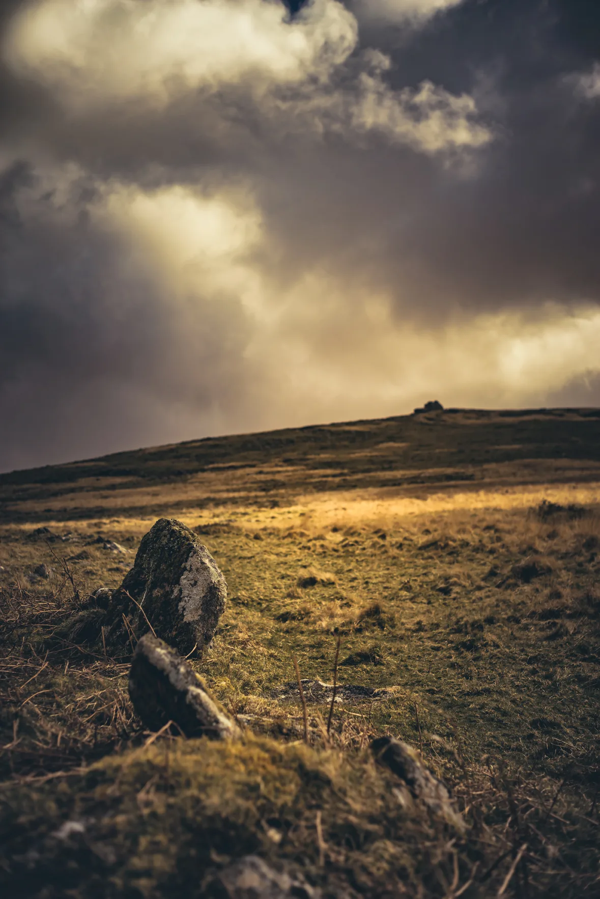 Enclosure, two stone hut circles and an alignment of upright stones 780m north west of Little Links Tor