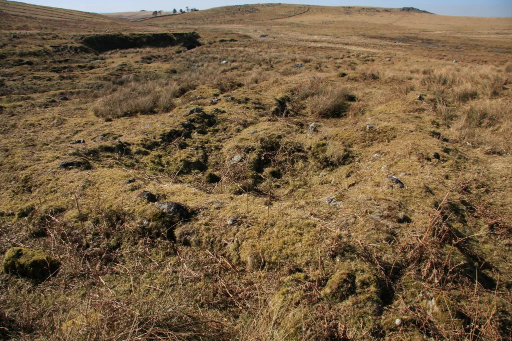 Historic settlement near Shavercombe Tor
