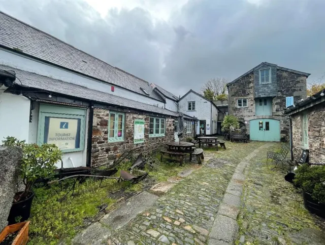 The Dartmoor Herbalist