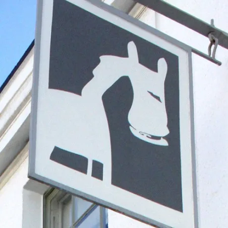 The Horse