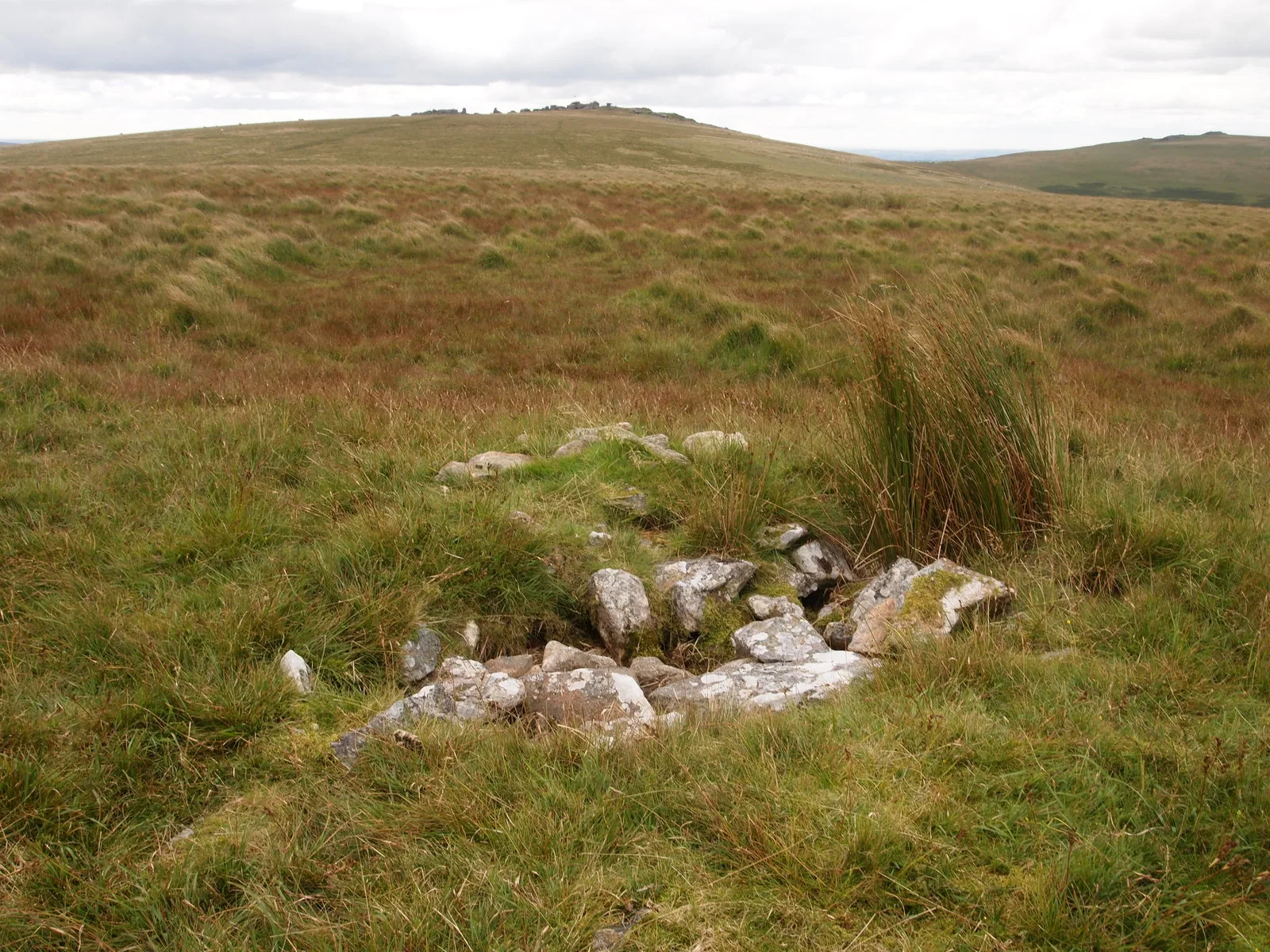 Round cairn near Wedlake Farm
