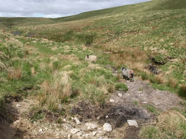 Round cairn near Beardown Man lying on the eastern slope of Conies Down Tor