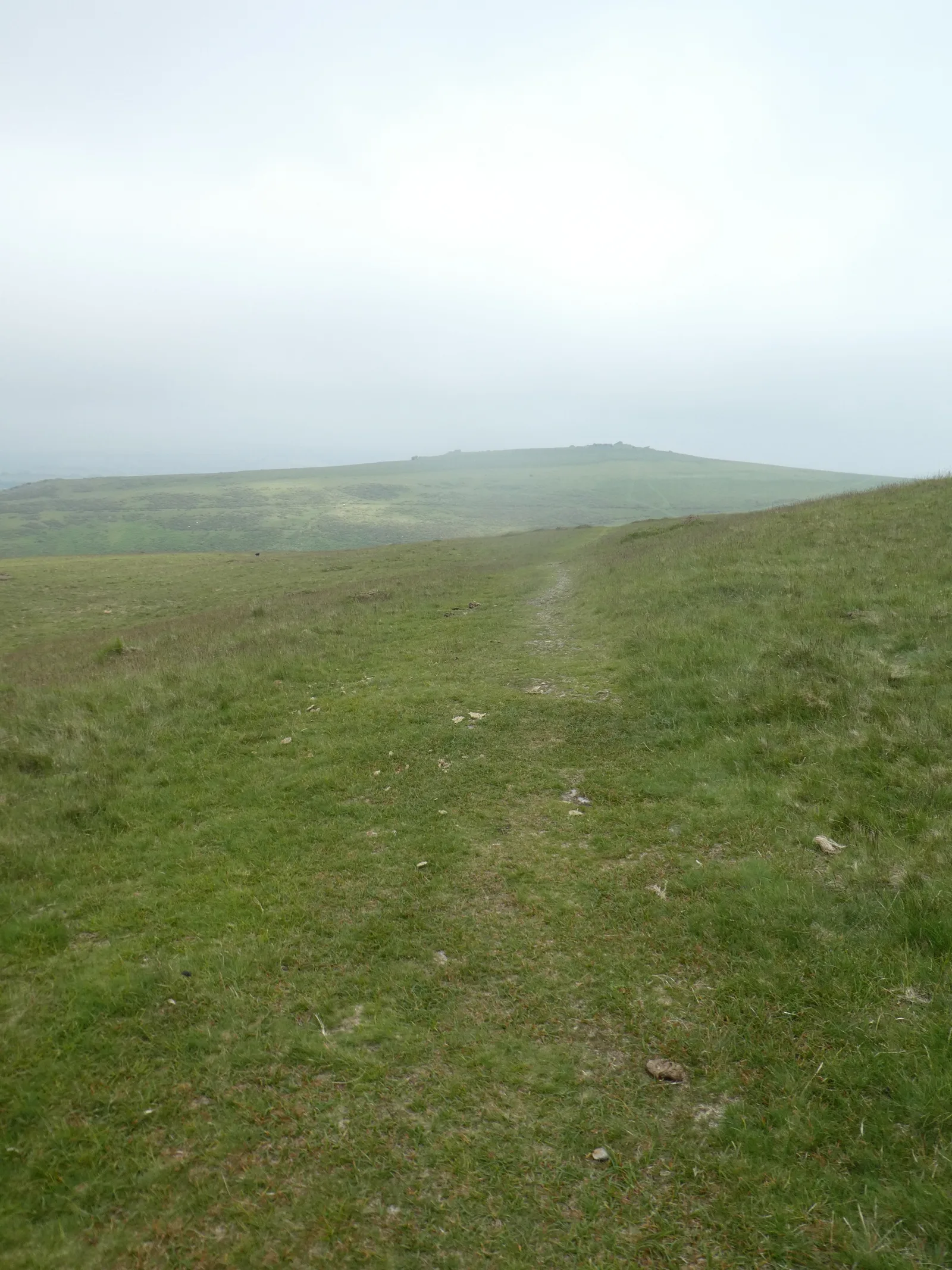 Round cairn near Sourton Tors