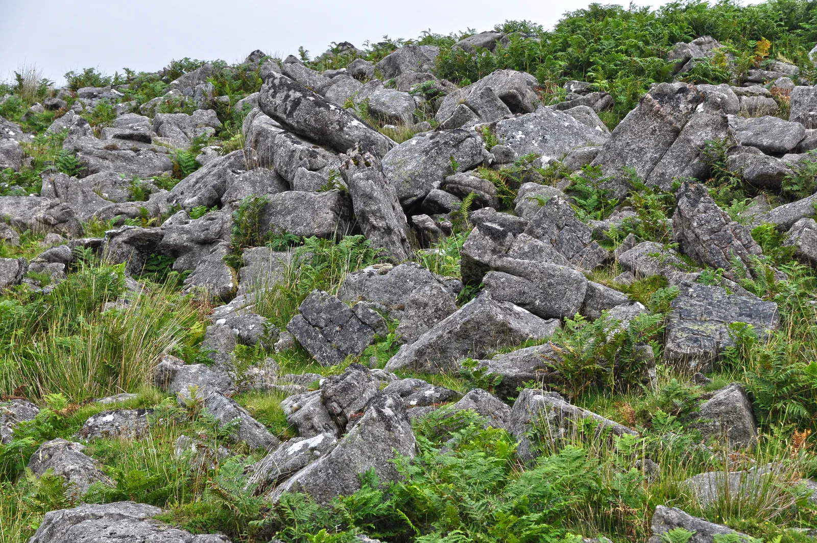 Sixty hut circles, Watern Oke