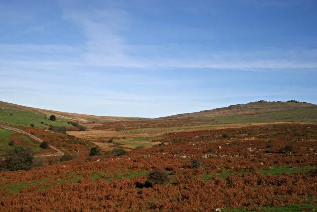 Hut circle near Merrivale Bridge