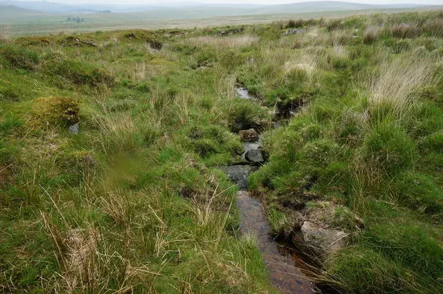 Hut circle north-east of Hentor Brook