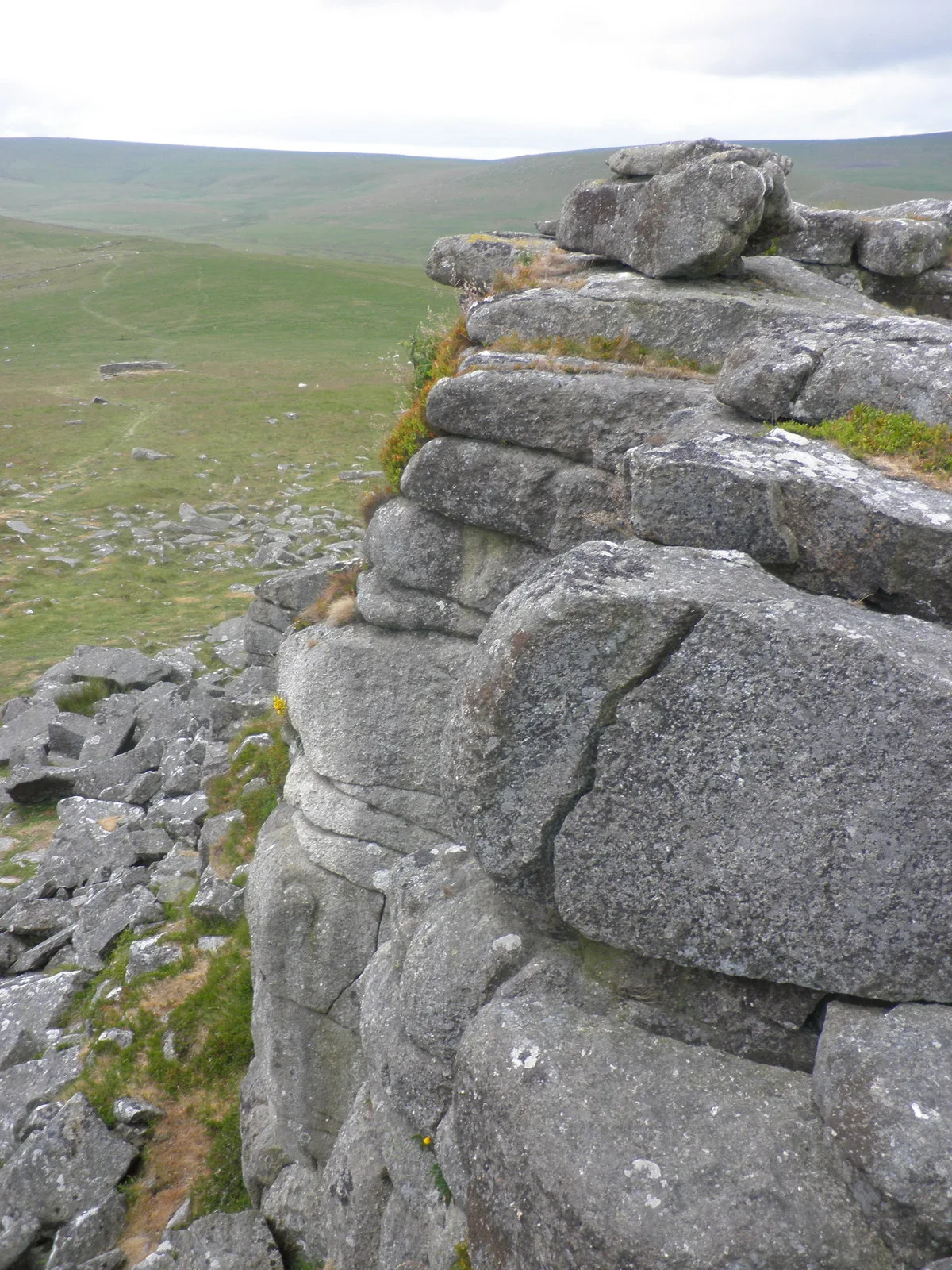 Hut circle settlement, Higher Tor