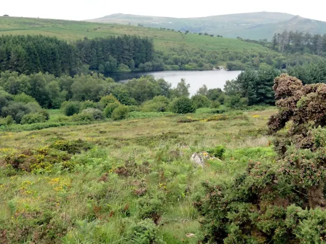 Three hut circles and split boulder, Holne Moor