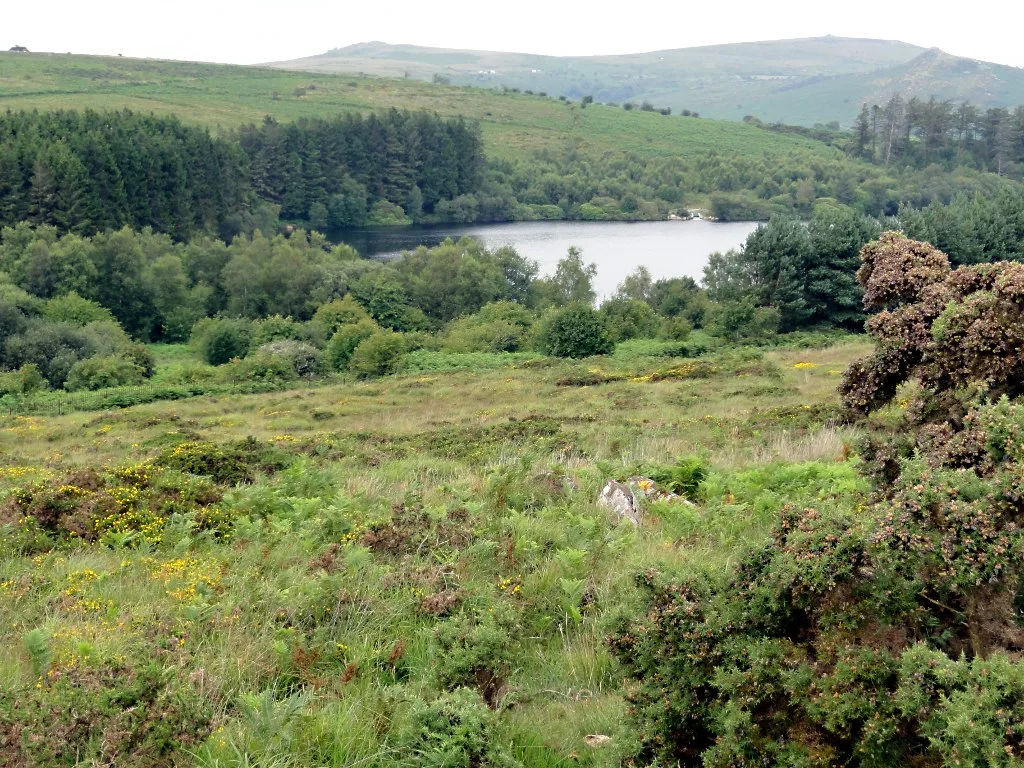 Three hut circles near Venford Reservoir dam