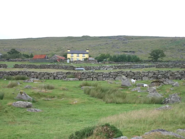 Unenclosed hut circle settlement near Yellowmeade Farm