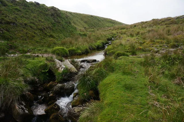 Vermin trap near Legis Tor