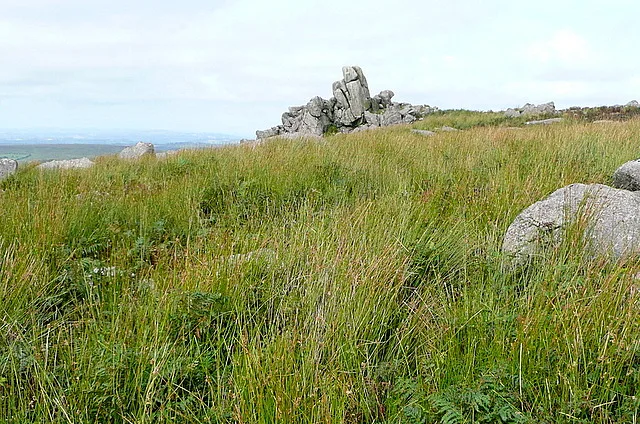 Vermin trap at southern base of Great Trowlesworthy Tor