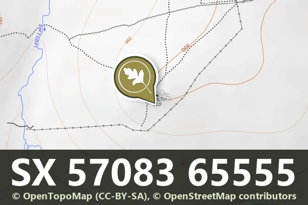 Vermin trap immediately near Legis Tor