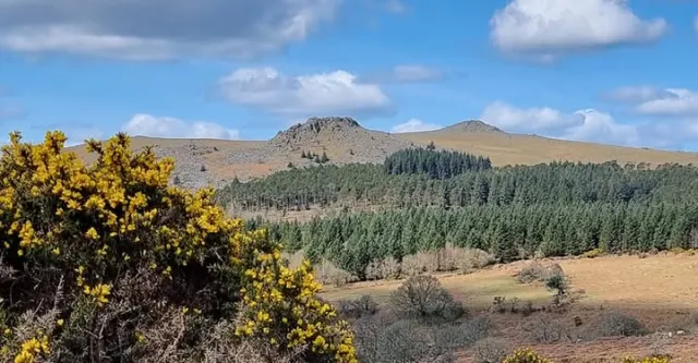 Dartmoor Public (Tourism Guide) - Facebook Group