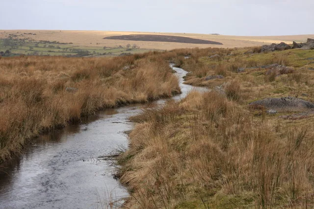 Vermin trap near Trowlesworthy Warren House
