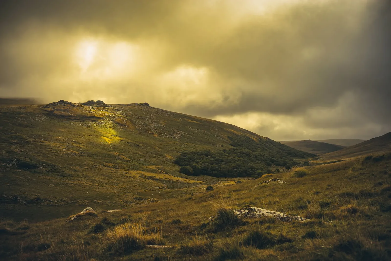 Black Tor, Okehampton