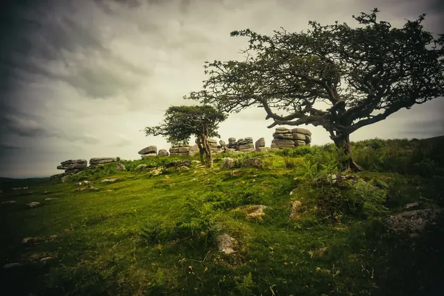 A photograph of a place on Dartmoor; the question asks which