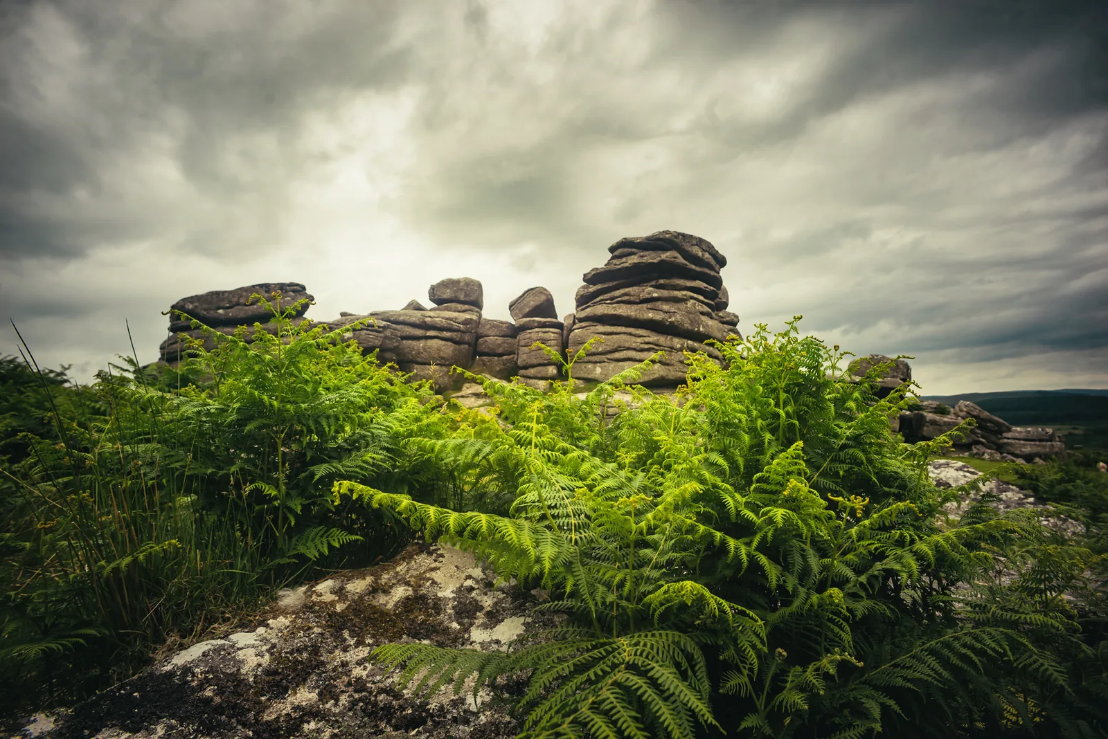 Combestone Tor