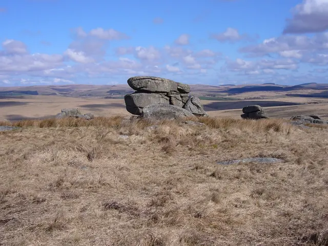 Fox Tor (Fox Tor Mires)
