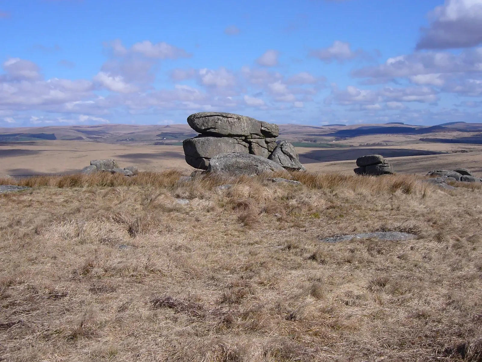 Fox Tor (Fox Tor Mires)