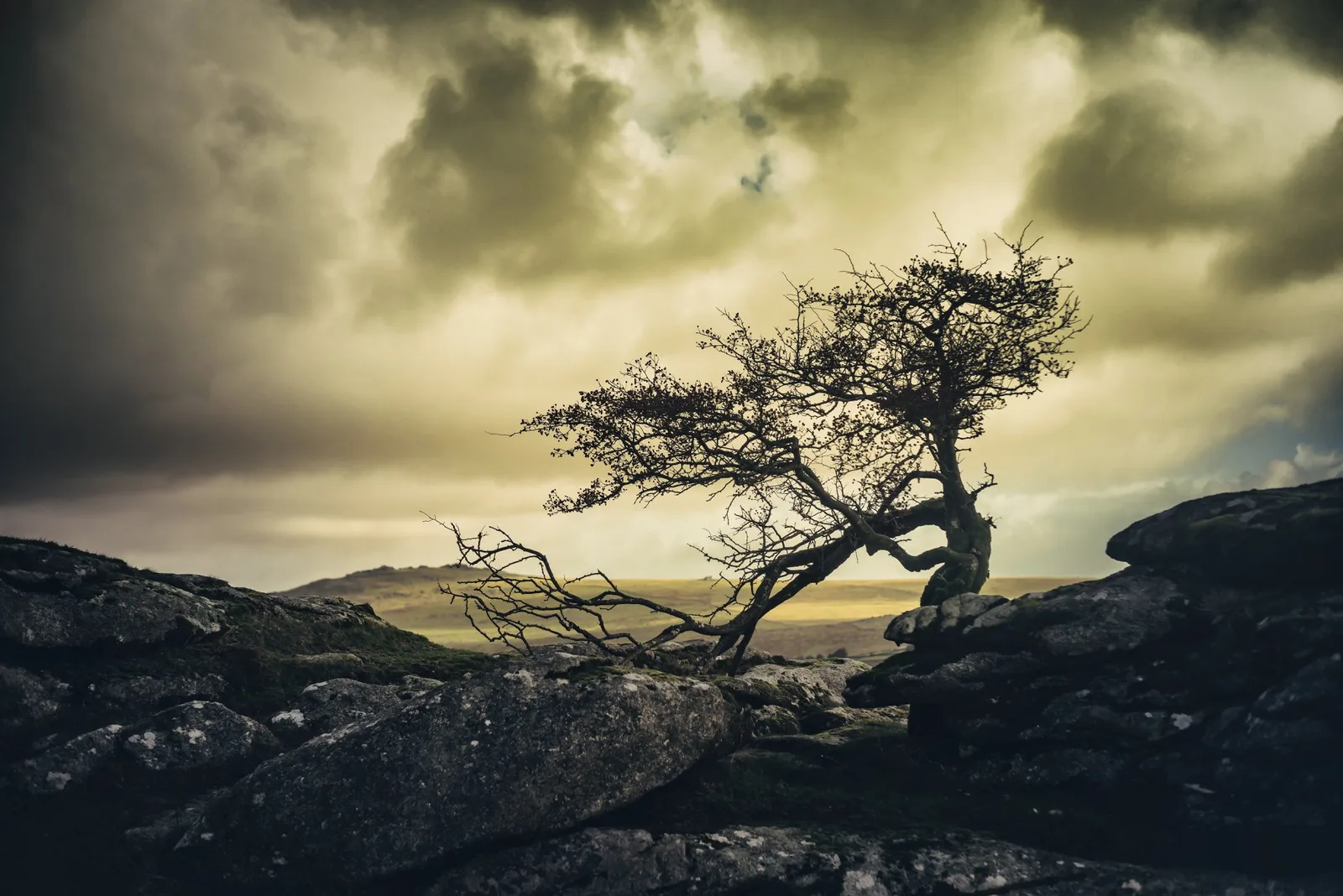 Heckwood Tor