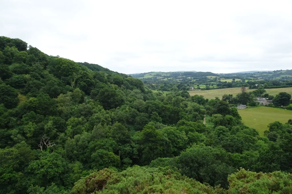Hunter's Tor, Teign Gorge
