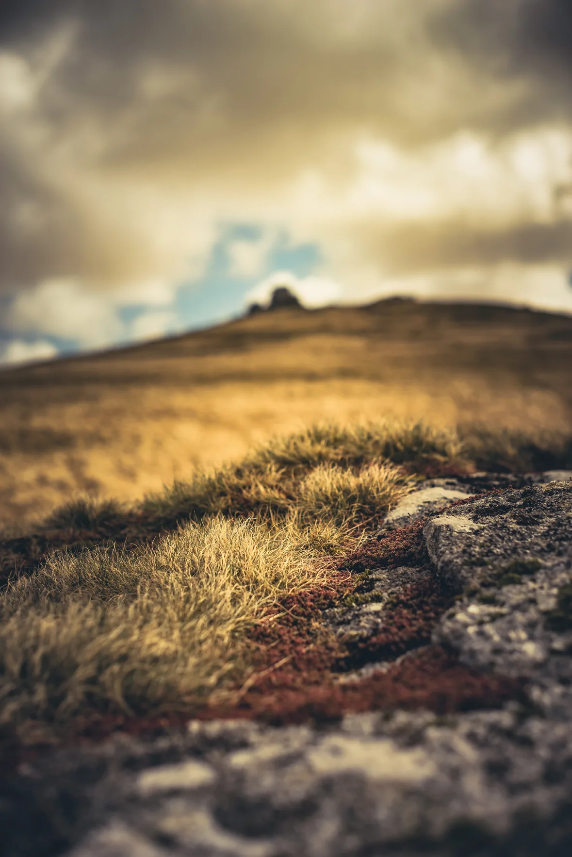 Little Links Tor