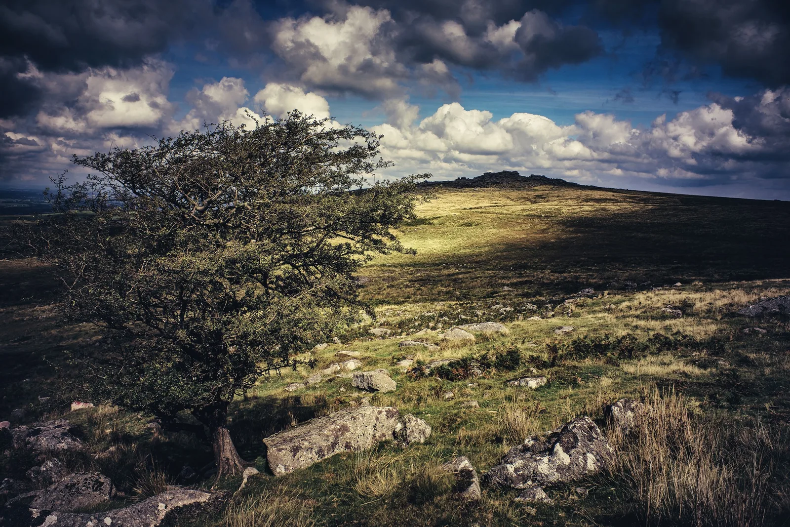 Rowtor