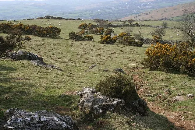 Sharp Tor, Peter Tavy