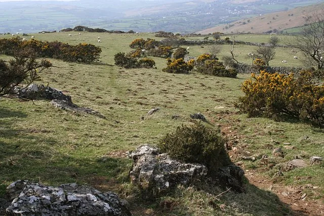 Sharp Tor, Peter Tavy